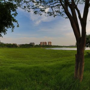 row-houses-villas-in-bangalore-lake